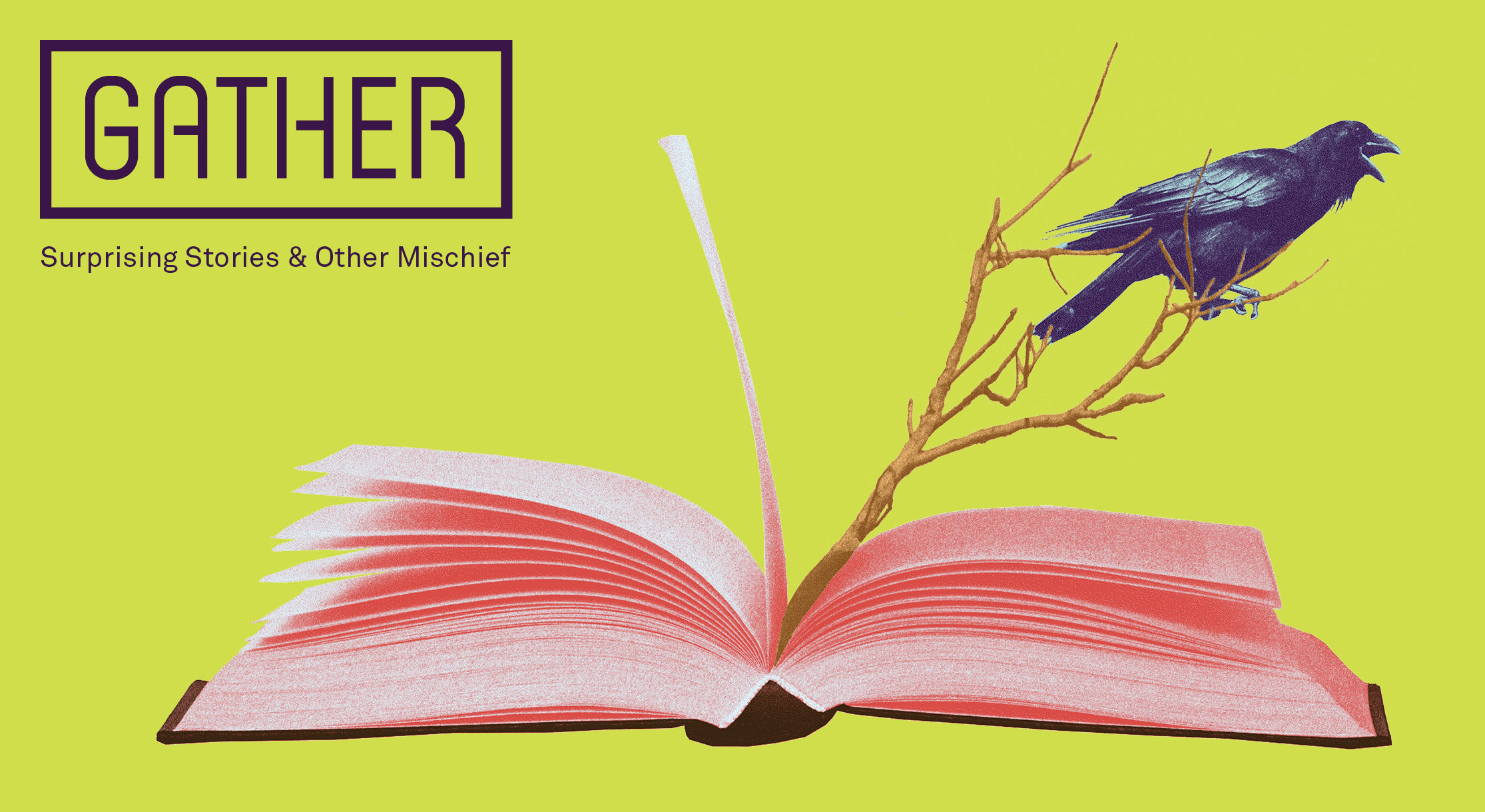 Gather: Surprising Stories & Other Mischief