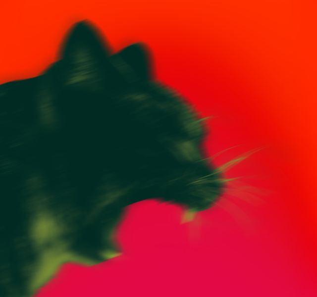 <i>Cat on a Hot Tin Roof</i>